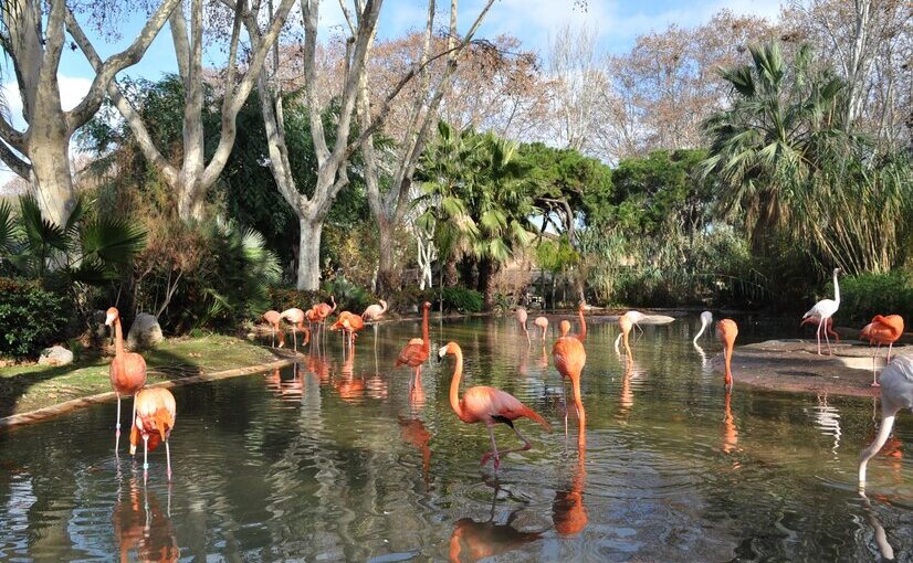 Discovering Nakuru: A Gem in Kenya’s Rift Valley