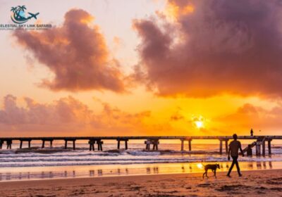 Malindi Sunset Viewing